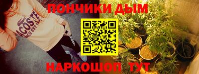 гидра Нальчик