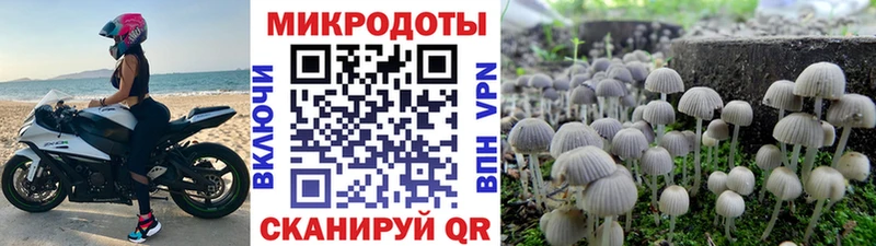Галлюциногенные грибы MAGIC MUSHROOMS Старый Оскол