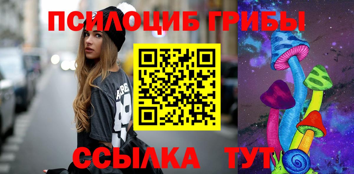 Псилоцибиновые грибы Psilocybe Старый Оскол